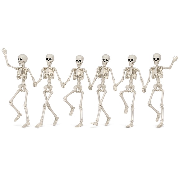 Valora Bella 6PCS Skeleton Halloween Decoration Outdoor Indoor - 16" Poseable Full Body Skeleton Prop with Movable Joints Realistic Skull - Halloween Decor for Haunted House Porch Party Yard