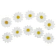 thumbnail image 4 of 10 pinzas para el pelo con diseño de margaritas y girasoles para damas y niñas (blancas), 4 of 5