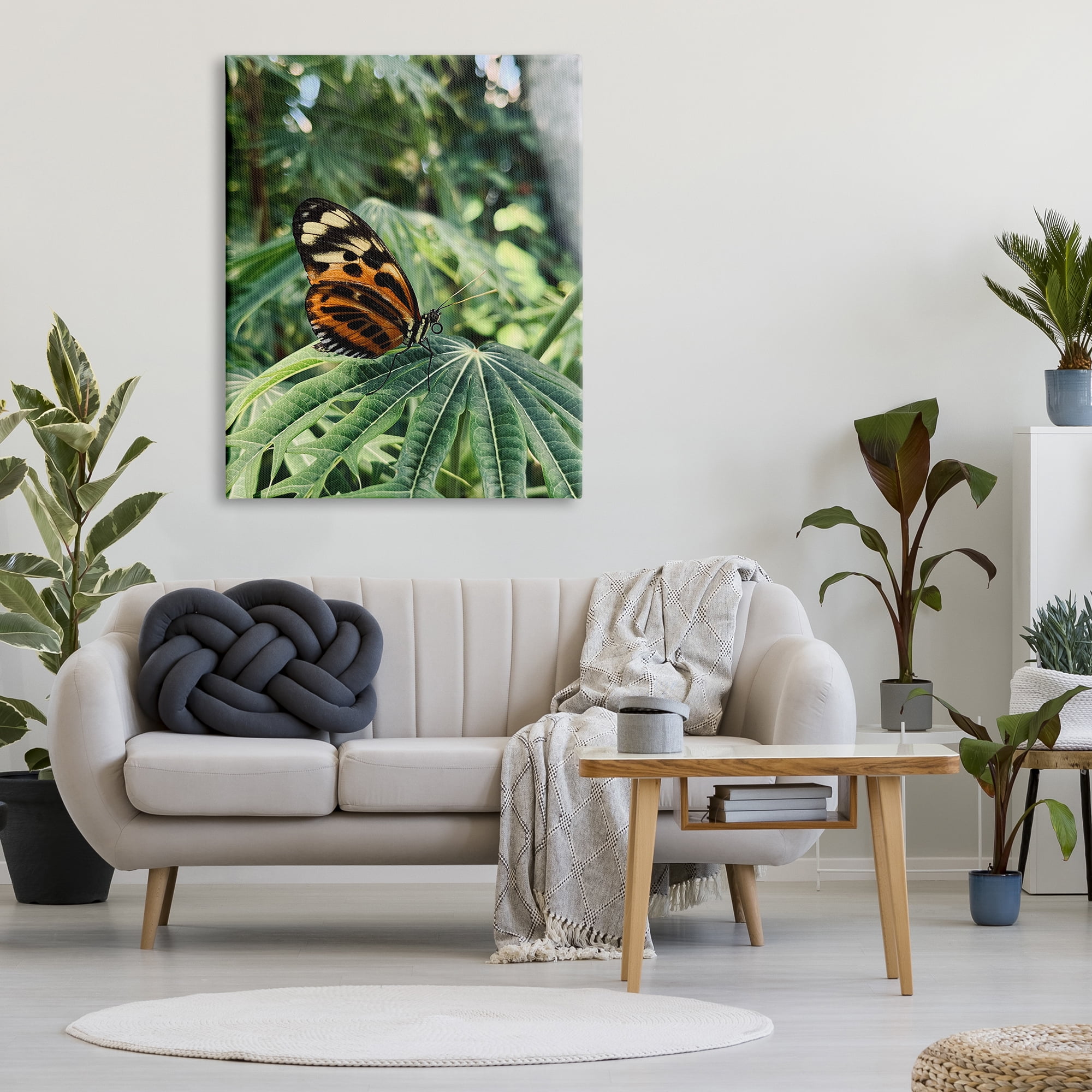 Stupell Industries Monarch Butterfly on Leaf Animals & Insects Photography Gallery Wrapped Canvas Print Wall Art, 36 x 48