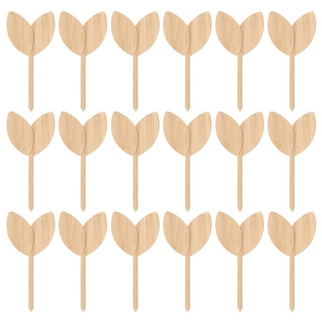 MasteelfCA 20pcs Wooden Leaf Shape Plant Labels Garden Markers Plant Classification Signs