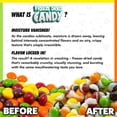 thumbnail image 4 of Fun Flavors Box- Freeze Dried Sugar Free Fruity Gummy Bears Variety Pack – Crunch Candy Treats, 2 oz, 4 of 8
