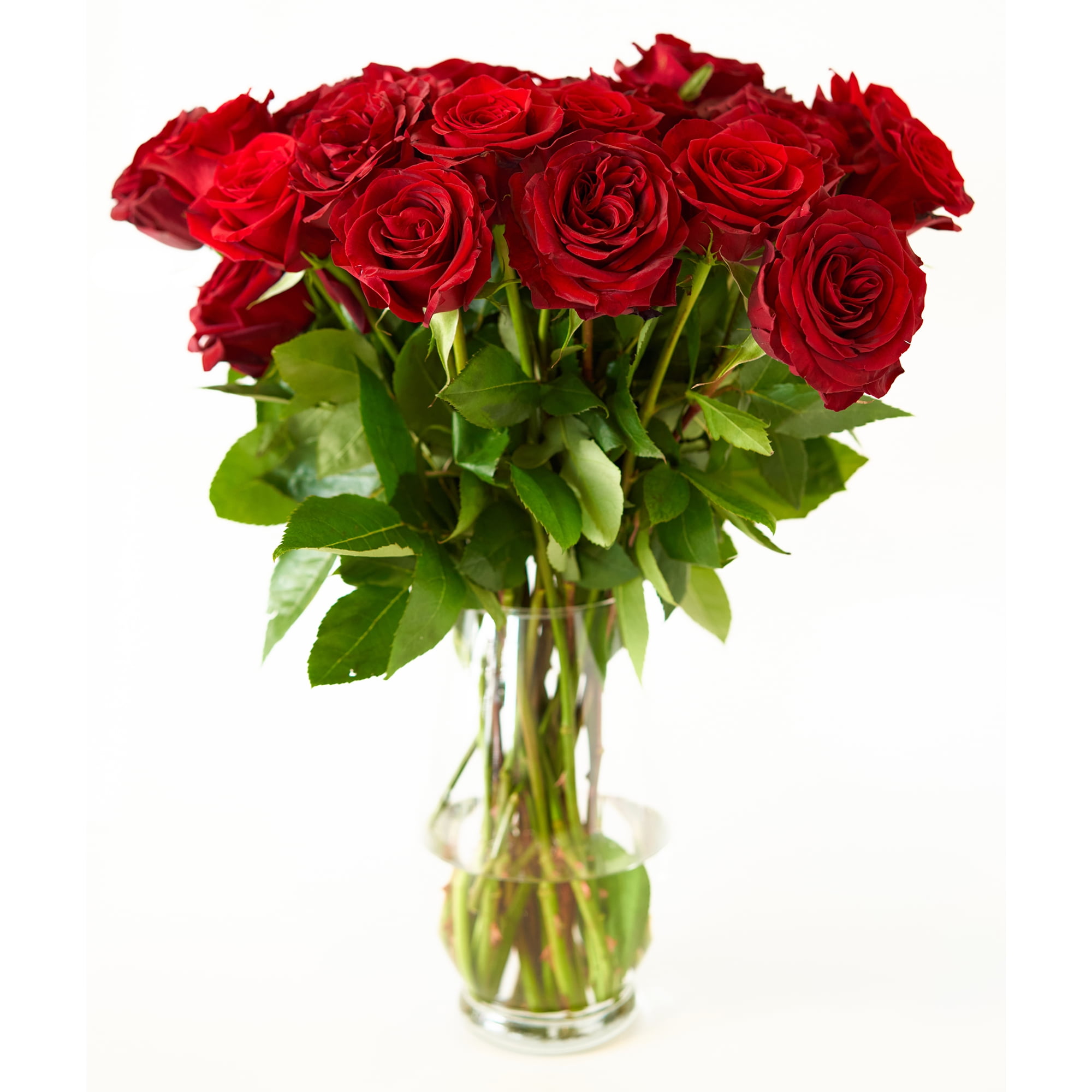 Red Roses Flower Bouquet - 12 Red Roses Long Stem - 1 Dozen Roses - Beautiful Red Roses Delivery - Luxury &amp; Fresh Roses - Birthday &amp; Anniversary Roses (Any Occasion)