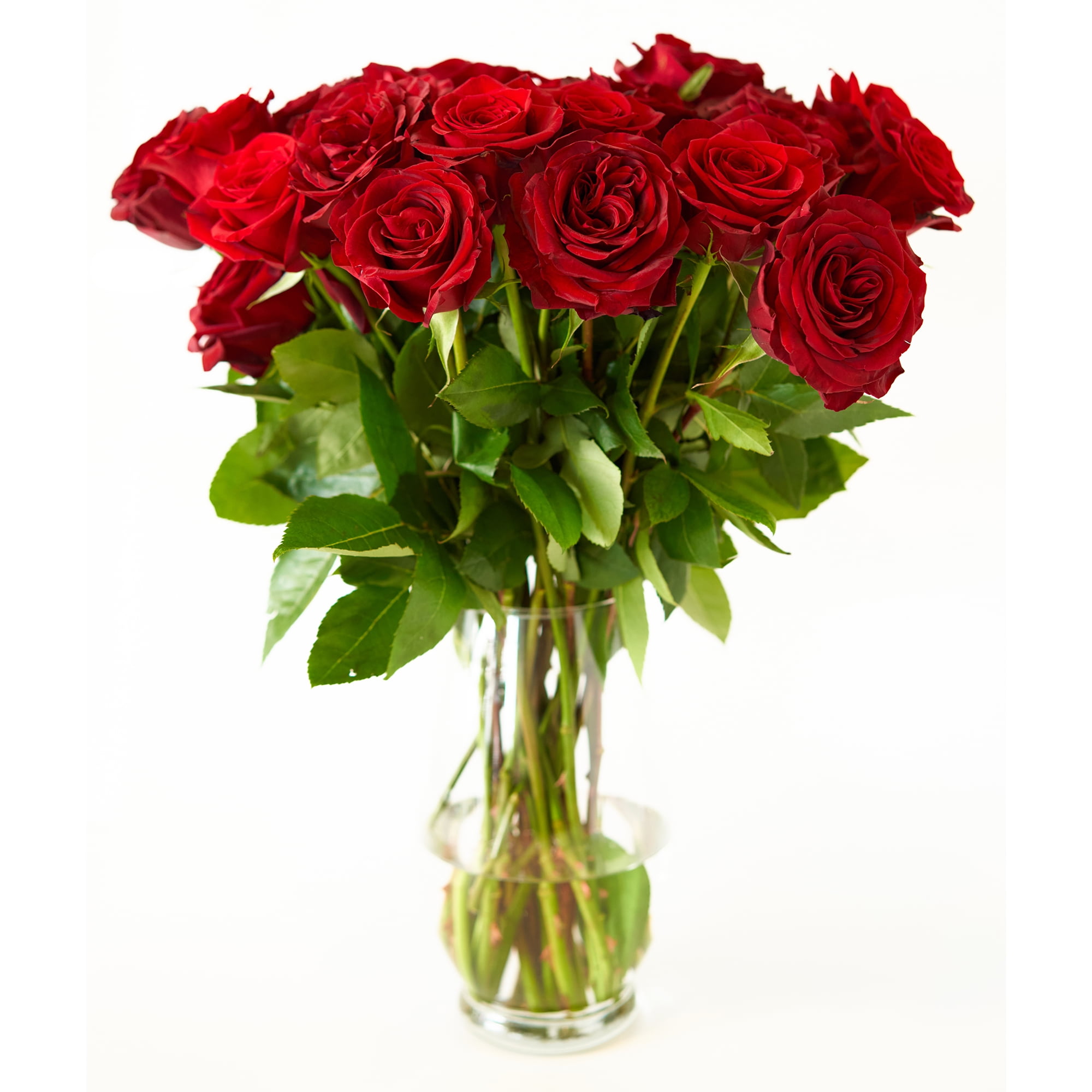 Red Roses Flower Bouquet 12 Red Roses Long Stem 1 Dozen Roses