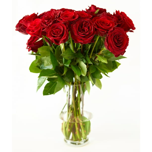 Red Roses Flower Bouquet 12 Red Roses Long Stem 1 Dozen Roses Beautiful Red Roses Delivery Luxury Fresh Roses Birthday Anniversary Roses Any Occasion Walmart Com Walmart Com