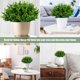 thumbnail image 4 of Xiao Hua Plantas artificiales de boj, arbustos y césped, 10 paquetes para decoración de bodas, jardines y casas de campo., 4 of 5