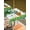 White, variant on St. Patrick's Day Outdoor Tablecloth - 60x60 Inch Square Dining Table Cover, Lucky Shamrock Gnomes Flowers Leaves Green Waterproof Outdoor Table Cloth with Umbrella Hole & Zipper for Picnic/Patio