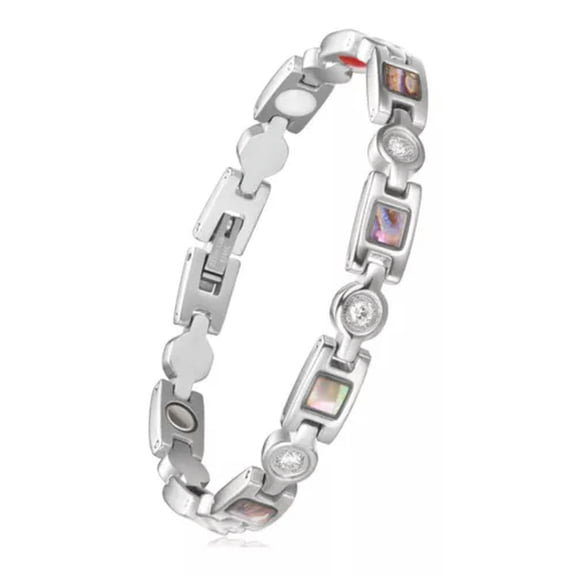 QQTDFG Stainless Steel Panther Chain Watch B Bracelet Zirconia Shell Silver 7.6" A127-Silver