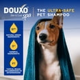 thumbnail image 4 of Shampoo para perros Douxo SPA Avena 473 ml Hipoalergénico, 4 of 7