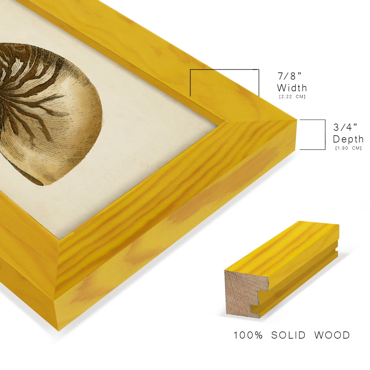 Sealife Collection V - Framed Print w/glass - Sunflower Yellow