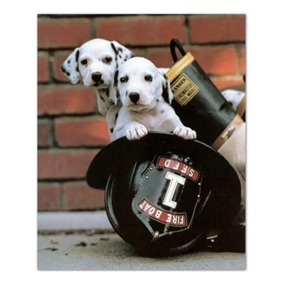 Cowboy Rodeo Bull Dogging Western Wall Picture Gold Framed Art Print