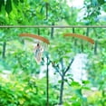 thumbnail image 4 of 1pc Practical Wooden Tie Rack Multi-functional 12 Hooks Belt Organizer for Home, 4 of 7