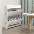 thumbnail image 2 of DENEST 2 -Tier Shoe Rack Entryway Corridor Ultra-Thin Shoe Storage Organizer Cabinet, 2 of 12