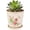 Pink Floral, variant on Ceramic Flower Pots For Indoor Plant, 5.5 Inch Small Ice Crack Plant Pots With Drainage Hole & Saucer, Decorative Vintage Planters For Succulent Herb Cactus Mint Basil, Garden Pot For Home Decor