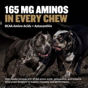 Bully Max Muscle Gain Bacon Flavor Soft Chews for Dogs, 10.6 oz. Bag