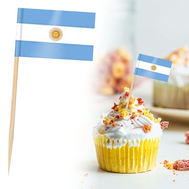 Country Flag Toothpicks | Cake and Burger Decorative Sticks | Flags for Themed Meals