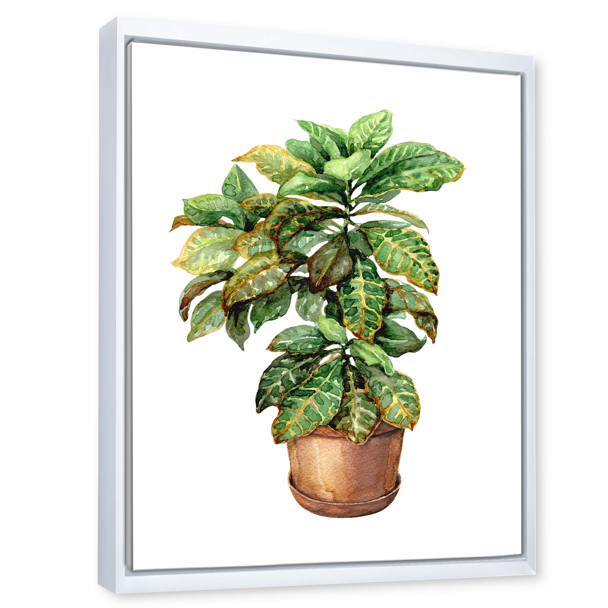 Designart 'Green Croton In Clay Flowerpot' Traditional Framed Canvas Wall Art Print