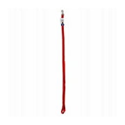 New Petmate 20046 Lead Nylon 1 Inch By 6 Foot Single Red,1 Each