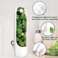 thumbnail image 2 of Conservador de hierbas frescas, cápsula de sabor a hierbas, vaso de vainilla para mantener frescas, botella de conservación de verduras frescas para almacenamiento, menta, perejil, mantiene, 2 of 5