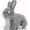 9.5" Gray Rabbit, variant on Lazada Stuffed Rabbit Doll Plush Bunny Toy Squishy Rabbit Toys Soft Gray 9.5"