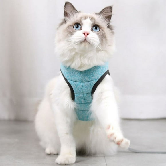 Harnais et Laisse pour Chat Ajustables, Gilet en Maille Douce Anti-Évasion, Harnais avec Sangle de Poitrine pour Chats et Chiots Qui Marchent