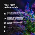 thumbnail image 4 of Alimento para Corales Aquarium Coral Brightwell Aquatics CoralAmino 125 ml, 4 of 7