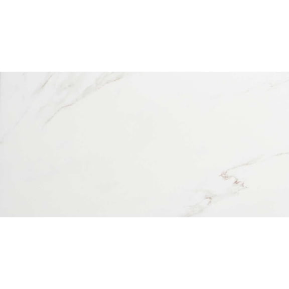 The Tile Life Huntington White Polished Porcelain Floor & Wall Tile, 24 x 48 in, 2-Piece