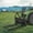 Black, variant on Acekid 45Inch Tractor Pallet Forks 3200lbs Capacity, Heavy-Duty Quick Attach Clamp-On Bucket Forks for Skid Steer, Kubota, Bobcat, Orange