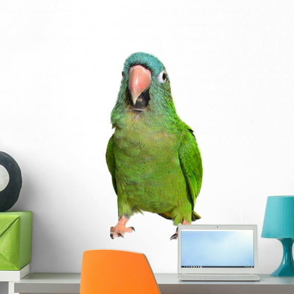Blue Crown Conure Wall Mural by Wallmonkeys Peel and Stick Graphic (24 in W x 16 in H) WM351244