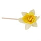 thumbnail image 4 of Botellas de Perfume Difusor de Ambientador de Aire de Decoración de Hogar Coche Amarillo Baoblaze  Botella de perfume del coche, 4 of 8