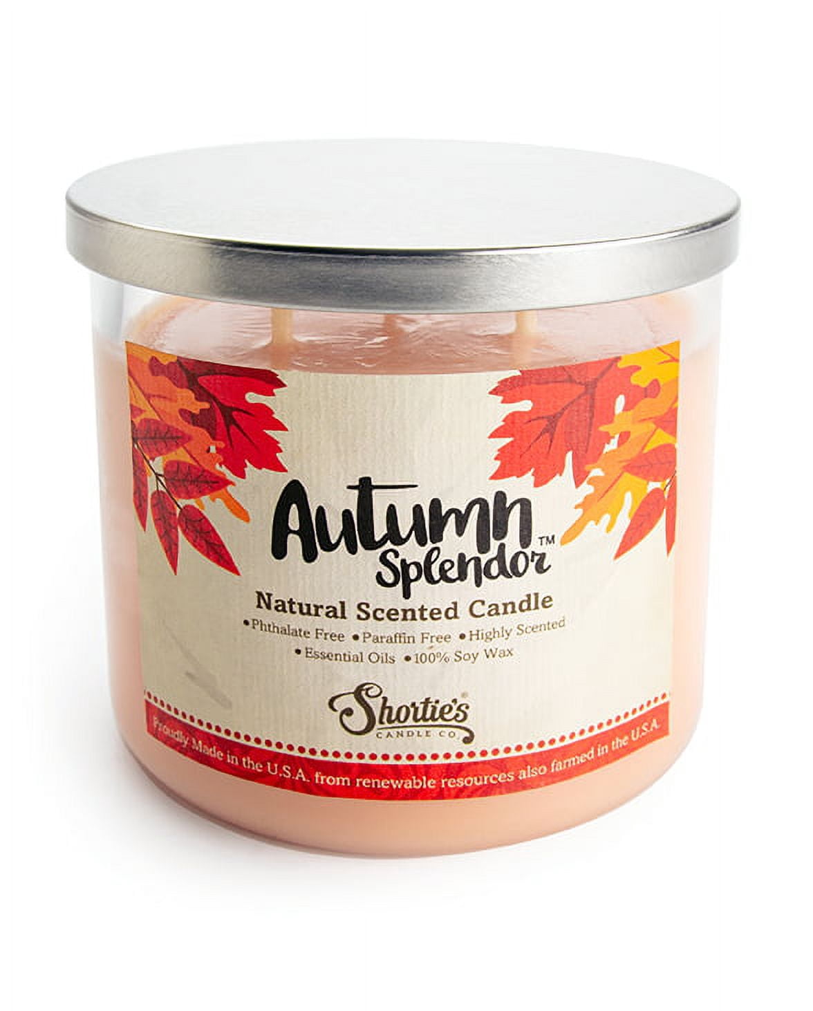 Autumn Splendor All Natural 3 Wick Candle - Made with Responsibly Sourced Soy and Essential Fragrance Oils - Phthalate & Paraffin Free, Vegan, Non-Toxic