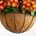 thumbnail image 4 of Nearly Natural 24in. UV Resistant Artificial Chrysanthemum Hanging Basket (Indoor/Outdoor), 4 of 10