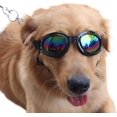 thumbnail image 4 of Waterproof Pet Sunglasses for Dogs – Eye Protection Goggles (Black) SHAR, 4 of 5