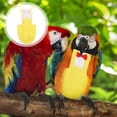 thumbnail image 4 of 1pc Parrot Birds Diaper Bird Bowknot Traje de vuelo Práctico PET Aves Supply, 4 of 7