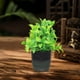 thumbnail image 5 of Decoración del hogar, decoración de habitaciones, decoración de paredes, plantas artificiales decorativas, plantas verdes de simulación, arreglos para muebles de interior, sala de estar, ramo de plást, 5 of 6