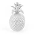 thumbnail image 1 of Pineapple Ceramic Cookie Jar, White, 8-Inch, 1 of 1