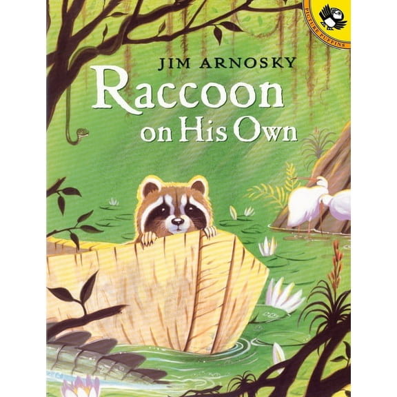 Raccoon on His Own (Paperback)