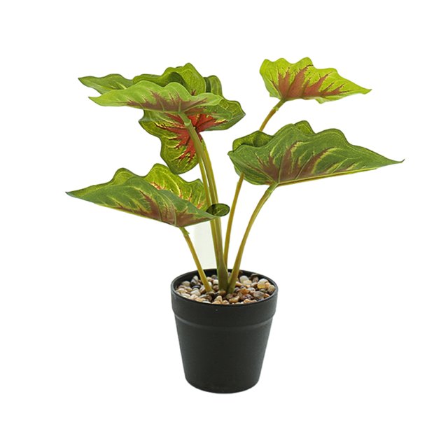Billuyoard Decoración de plantas realistas, plantas falsas en macetas de tortugas artificiales ecológicas para HomeOfficeGarden JH5478 Type3 NO3