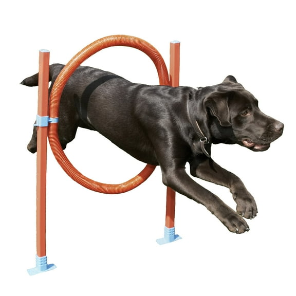 Rosewood Pet Agility Hoop Jump Dog Training Toy