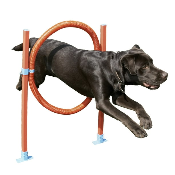 Rosewood Pet Agility Hoop Jump Dog Training Toy