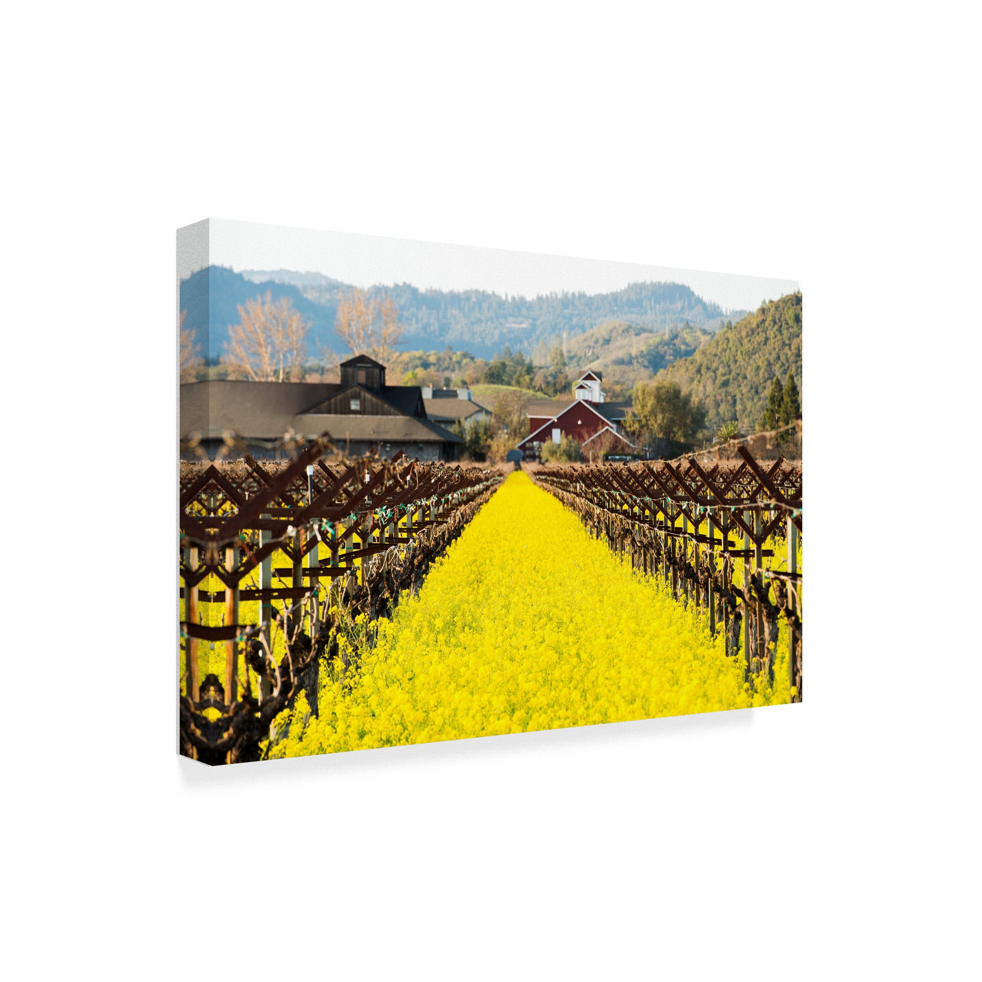 Trademark Fine Art 'Napa Valley In Winter' Canvas Art by Lance Kuehne