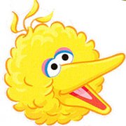 Sesame Street Big Bird Self-Stick Wall Accent Stickers Set