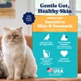 thumbnail image 2 of Solid Gold Sensitive Stomach Dry Cat Food - Made with Real Quail and Pumpkin - Winged Tiger Grain Free Cat Food for Adult and Senior Cats - Promotes Gut Health and Immune Support - 6 lb, 2 of 11