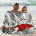 thumbnail image 6 of Phoenix Throw Blanket 280GSM-60x80in Phoenix Blanket Gifts for Adults Men Women Phoenix Soft Cozy Fluffy Flannel Blanket for Couch Bedroom Birthday Christmas Easter, 6 of 8
