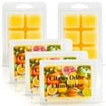 Citrus Odor Eliminator Scented Wax Melt 1 Pack 2 Ounces 6 Cubes