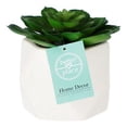 thumbnail image 2 of planta dec. blanca suculenta c, 2 of 5