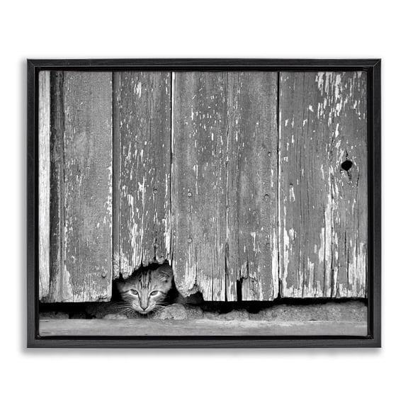 Stupell Industries Farmhouse Rustic Cat Peeking Black Floating Frame Canvas Art, 21 x 17, by Steve Toole