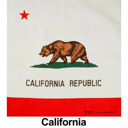 California Print Designs Cotton Bandana (22 inches x 22 inches)