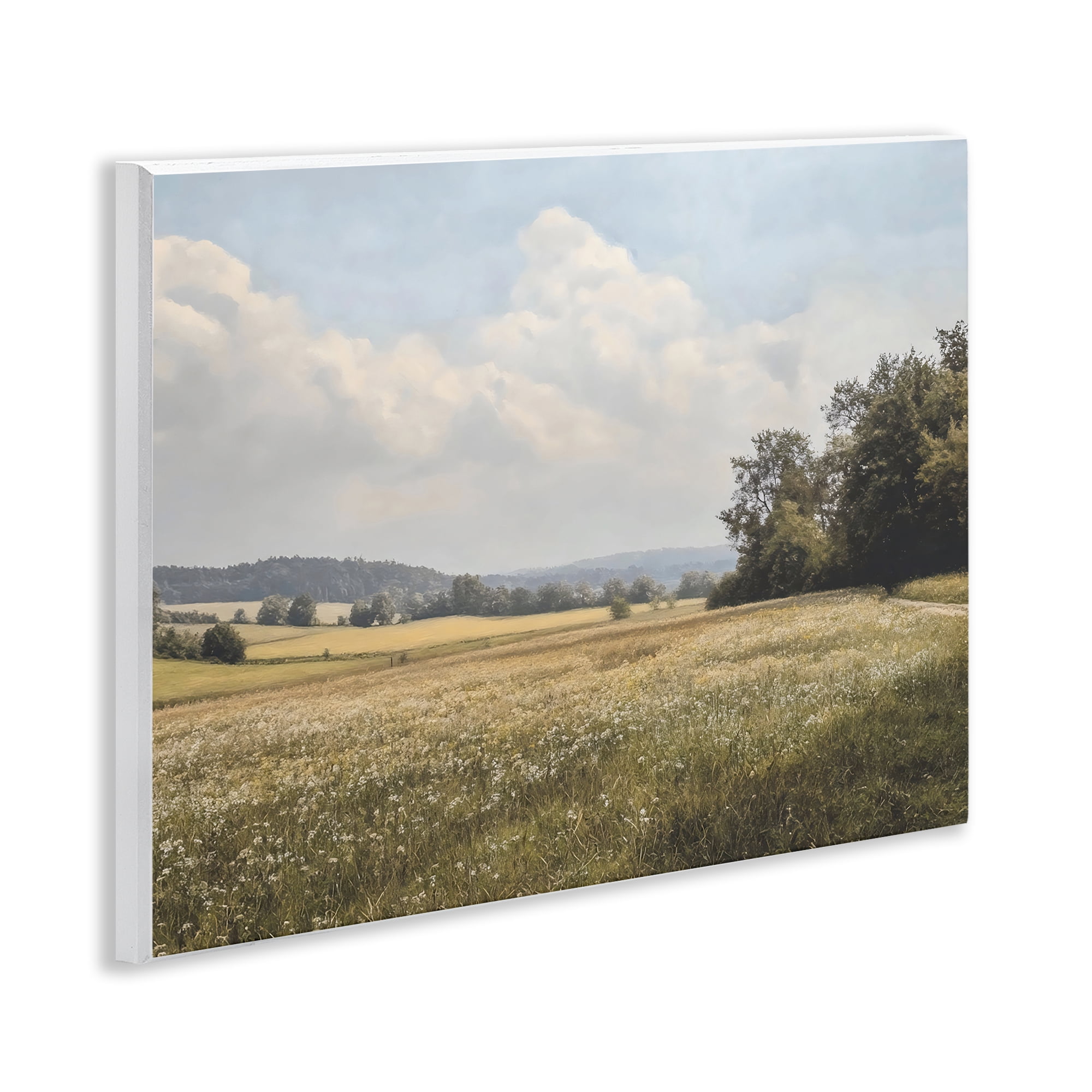 Stupell Industries Summer Landscape Cloudy Meadow Wall Plaque Art, design by Franklyn Gregory