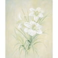 thumbnail image 3 of Unknown 15x18 Black Modern Framed Museum Art Print Titled - White Lily, 3 of 5