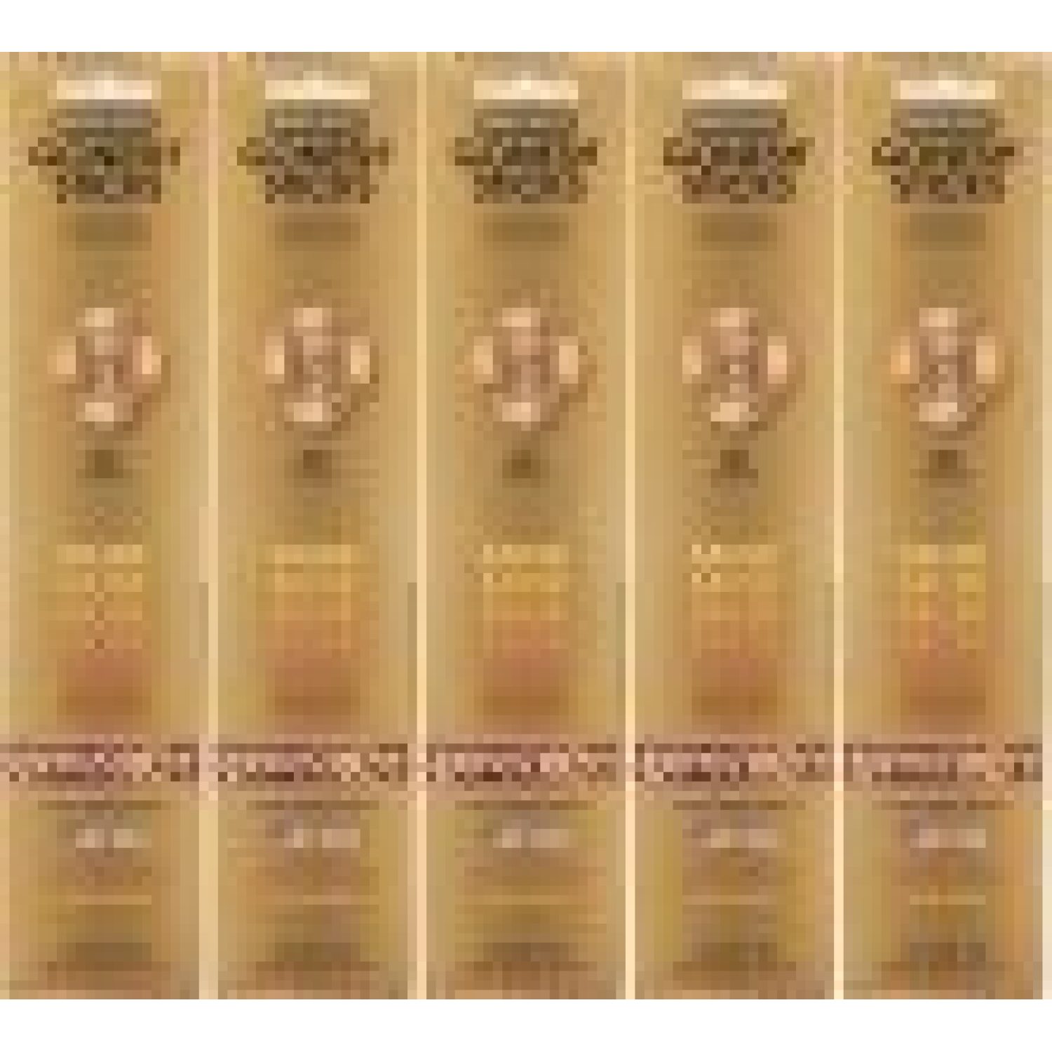 Gonesh Incense Sticks Extra Rich Collection - Musk 5 Packs (100 Total)